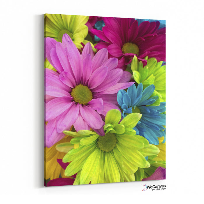 Flores de colores