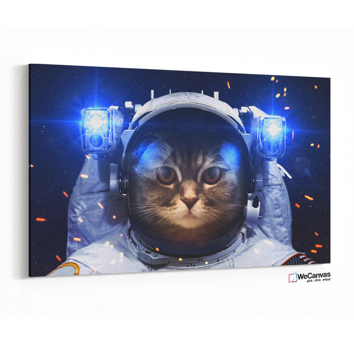 Gato Astronauta