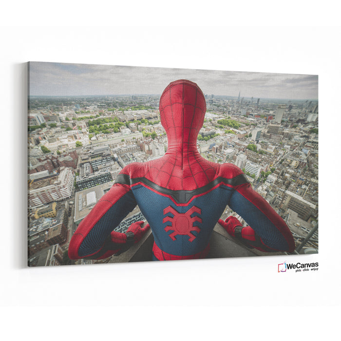 Spidey Vigilante