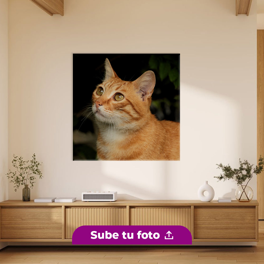 Cuadro Personalizado en Canvas y Acrílico | Cuadrado