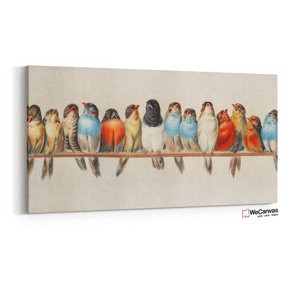 A Perch of Birds vintage illustration
