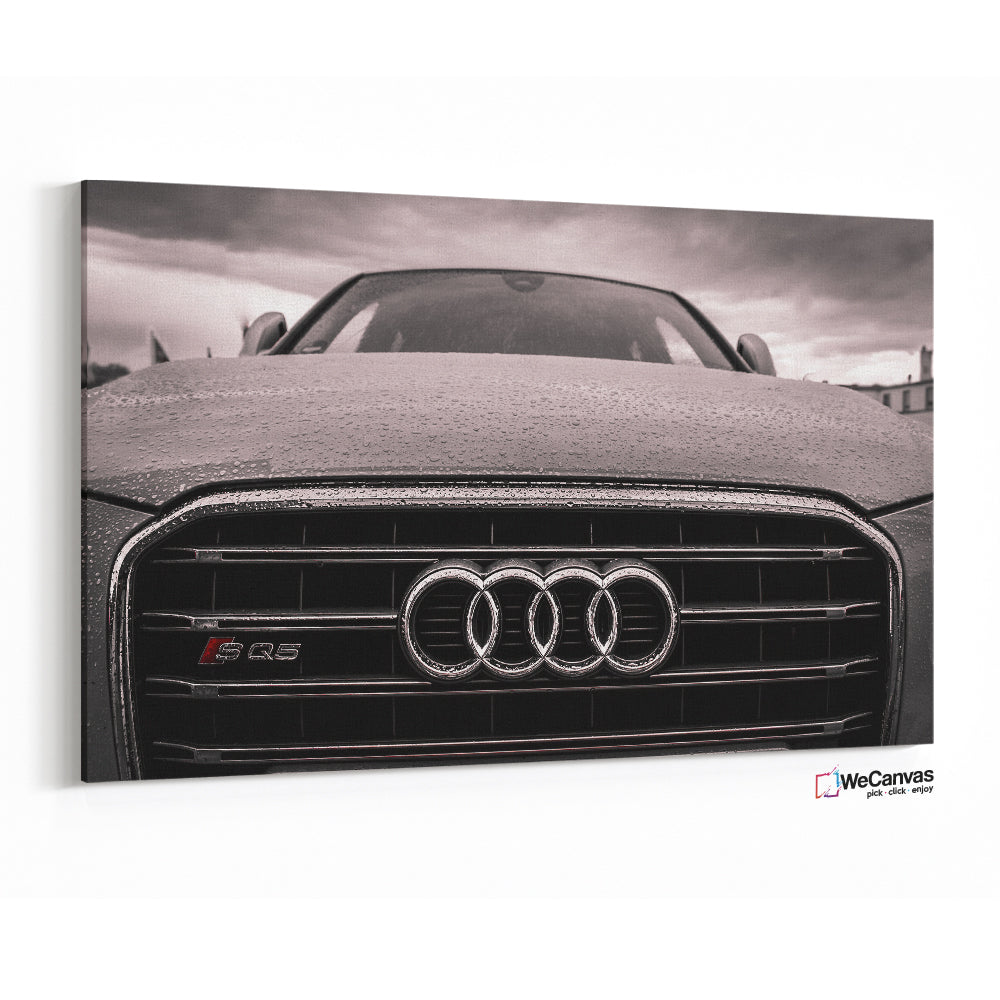 Audi tonos grises
