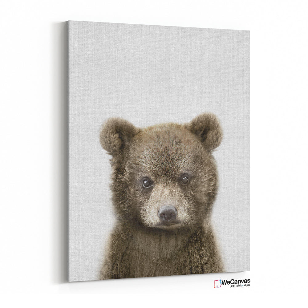 Baby Bear