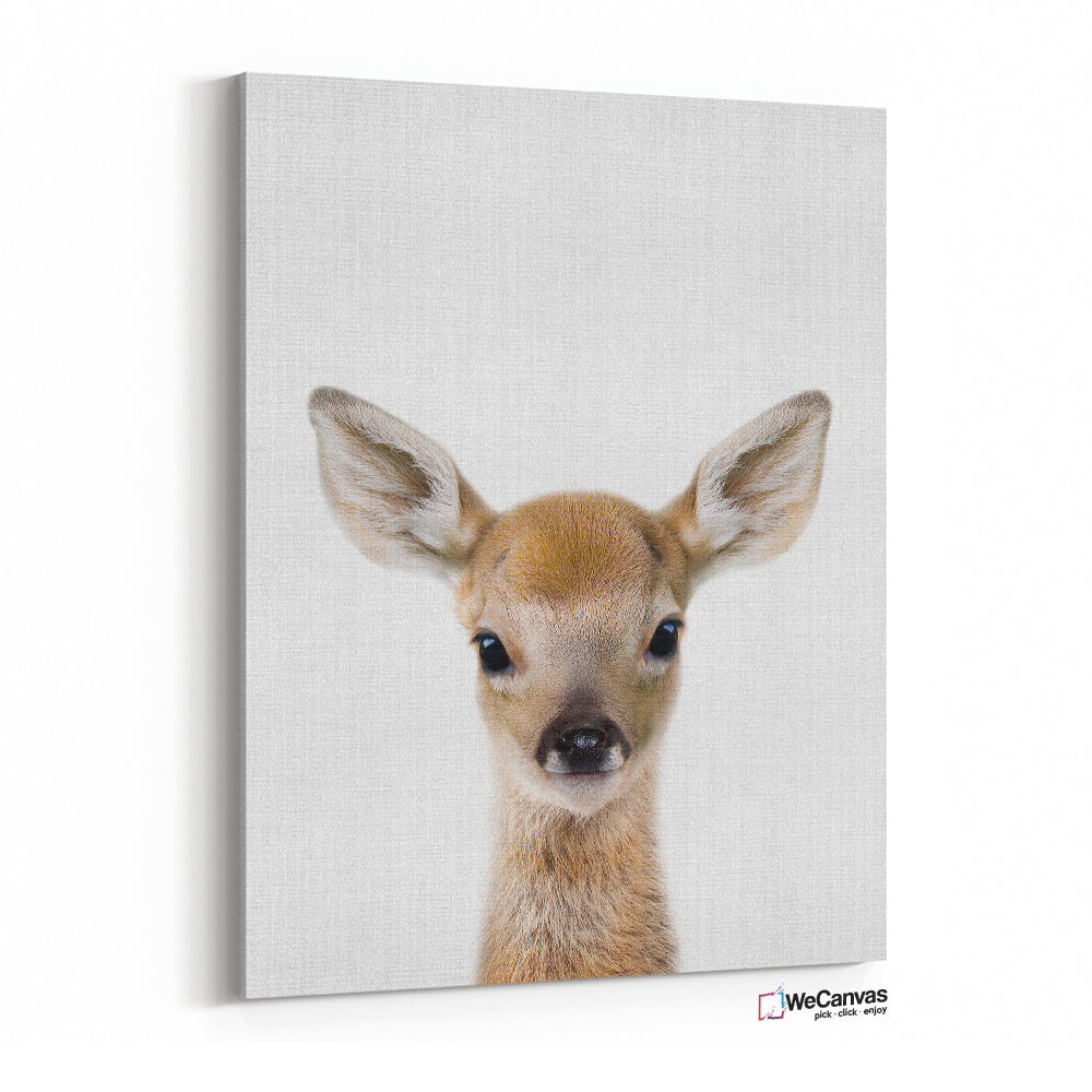 Baby Deer