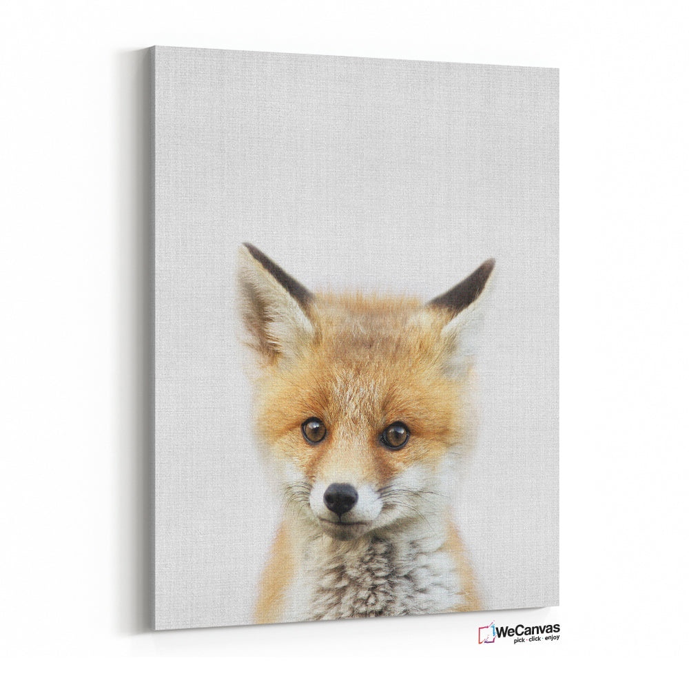Baby Fox