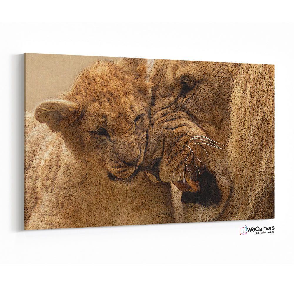 Baby Lion