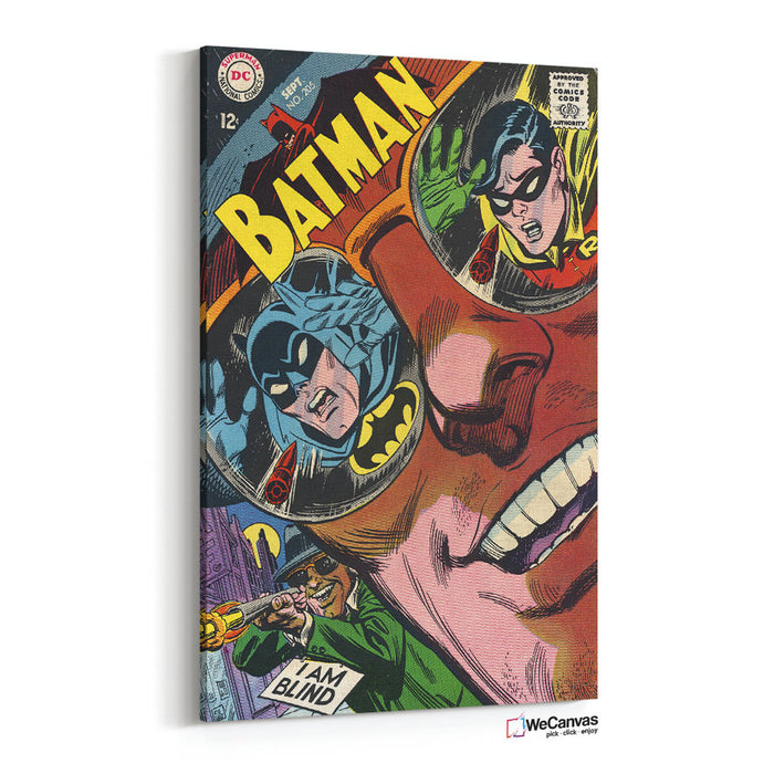 Batman & Robin Comic Cover