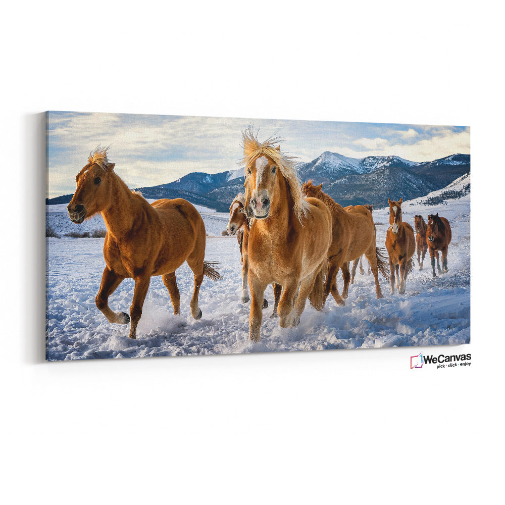Caballos en la nieve