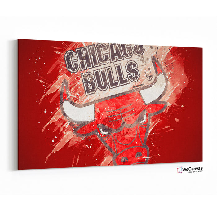Chicago Bulls Spots