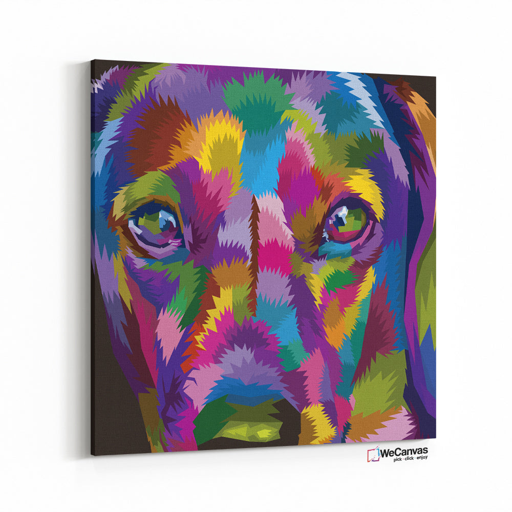 Close up Dachshund Colorido