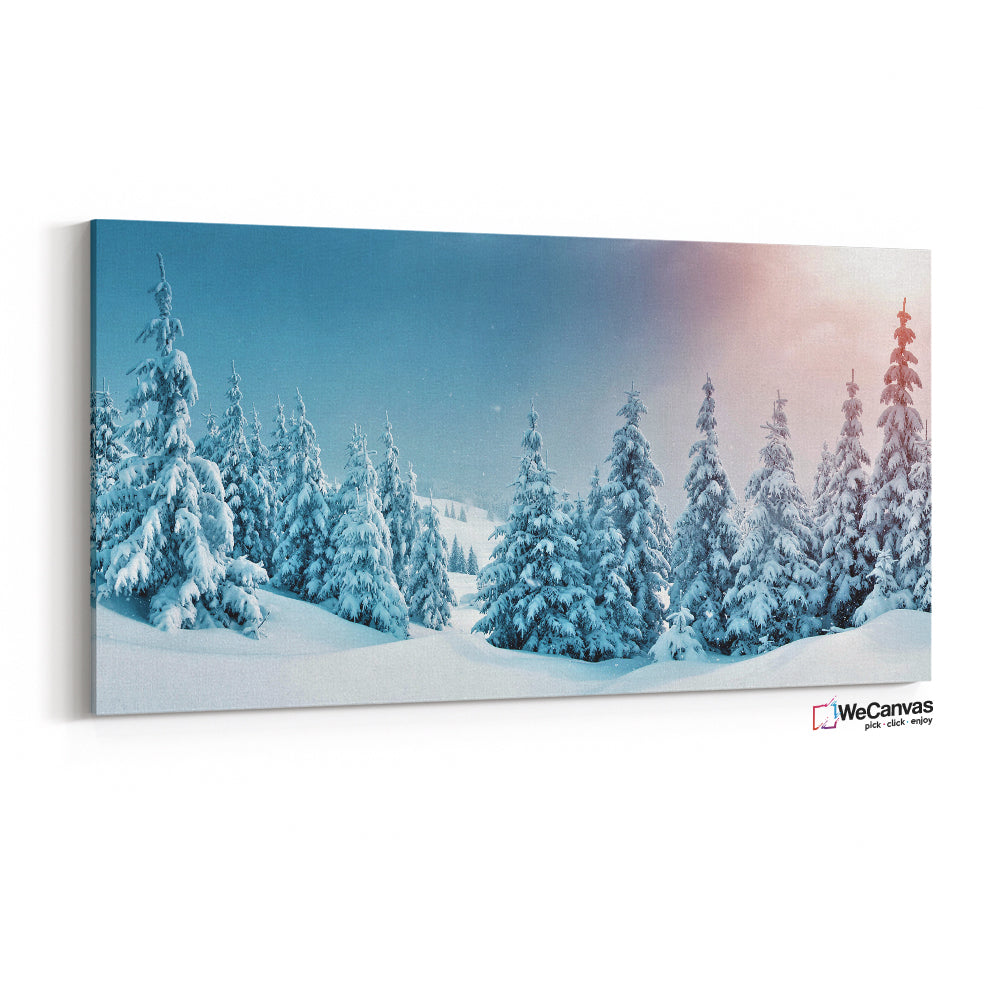 Cold forest