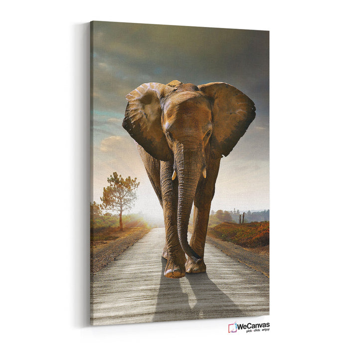 Elefante en el camino