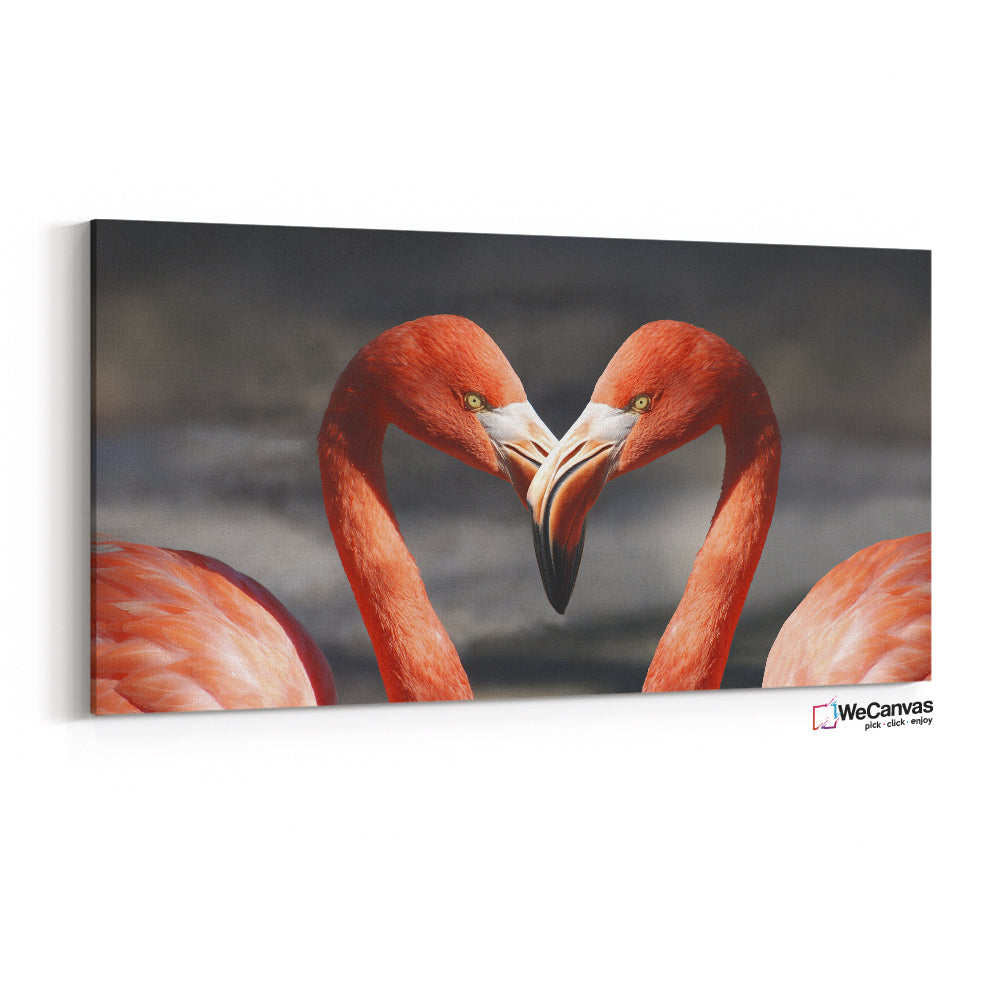 Flamingos Enamorados
