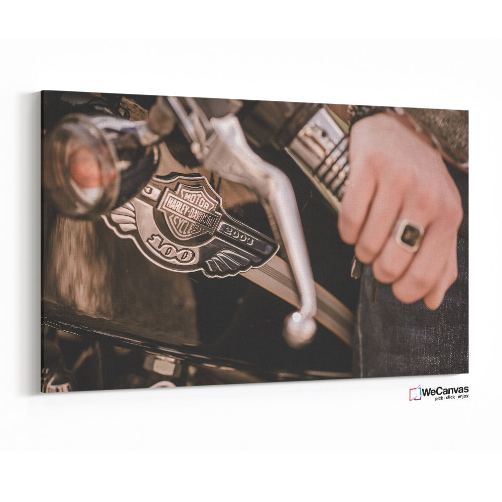 Harley Davidson 100 años