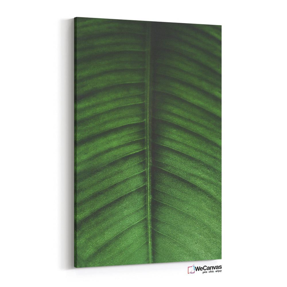 Hoja Verde