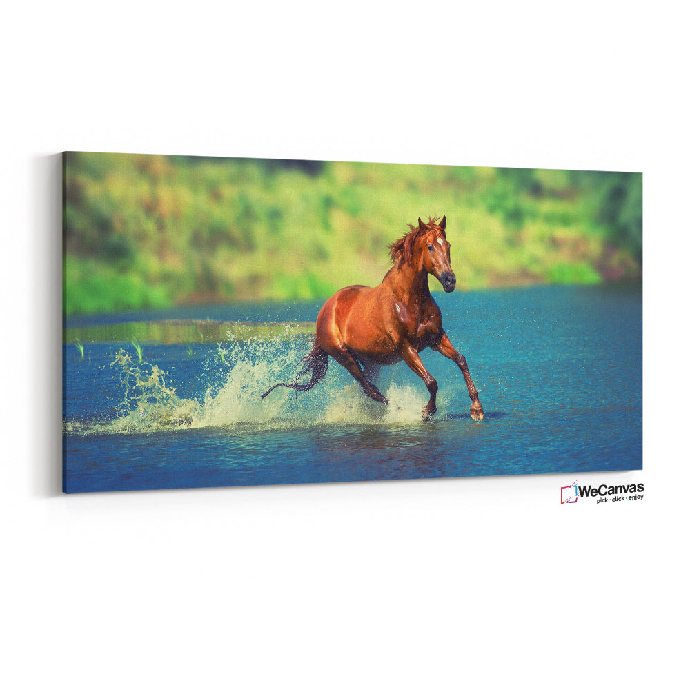 Horse on river