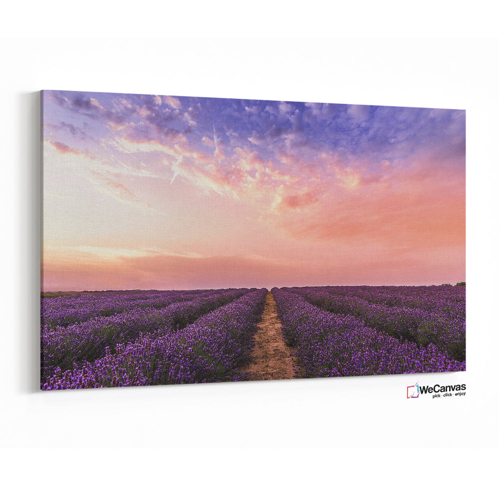 Lavanda