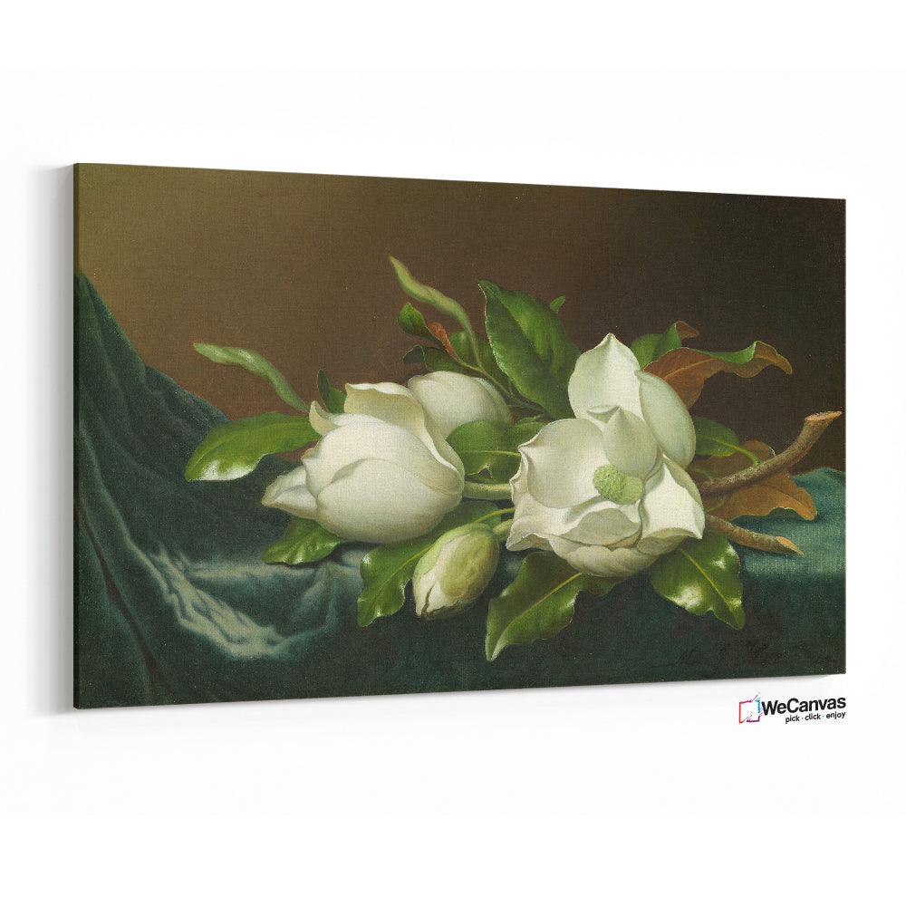 Magnolias on Light Blue Velvet Cloth