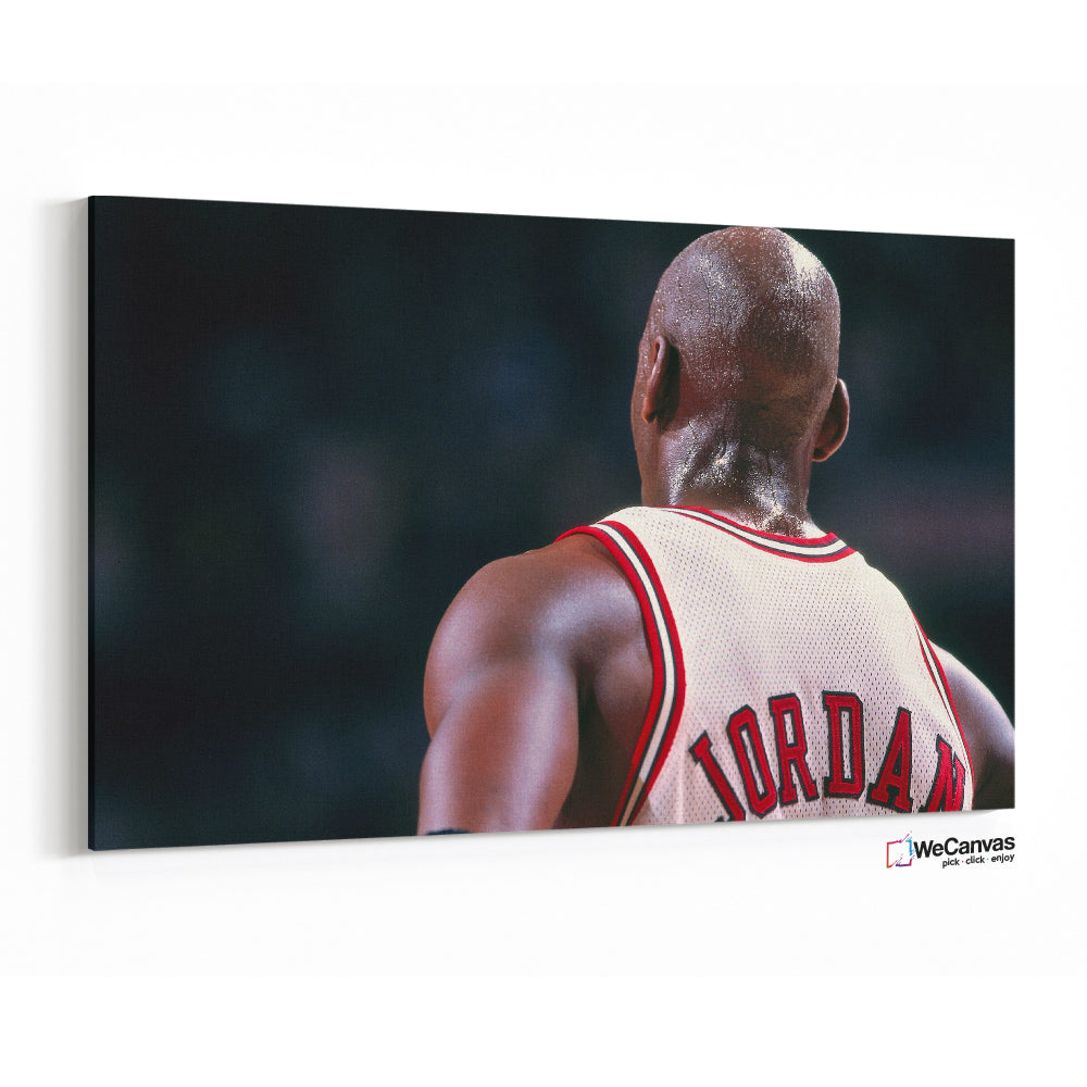 Michael Jordan Back