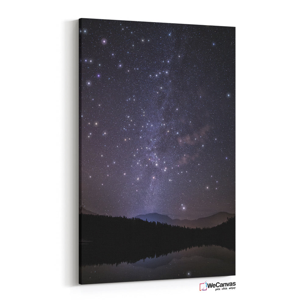 Noche de estrellas