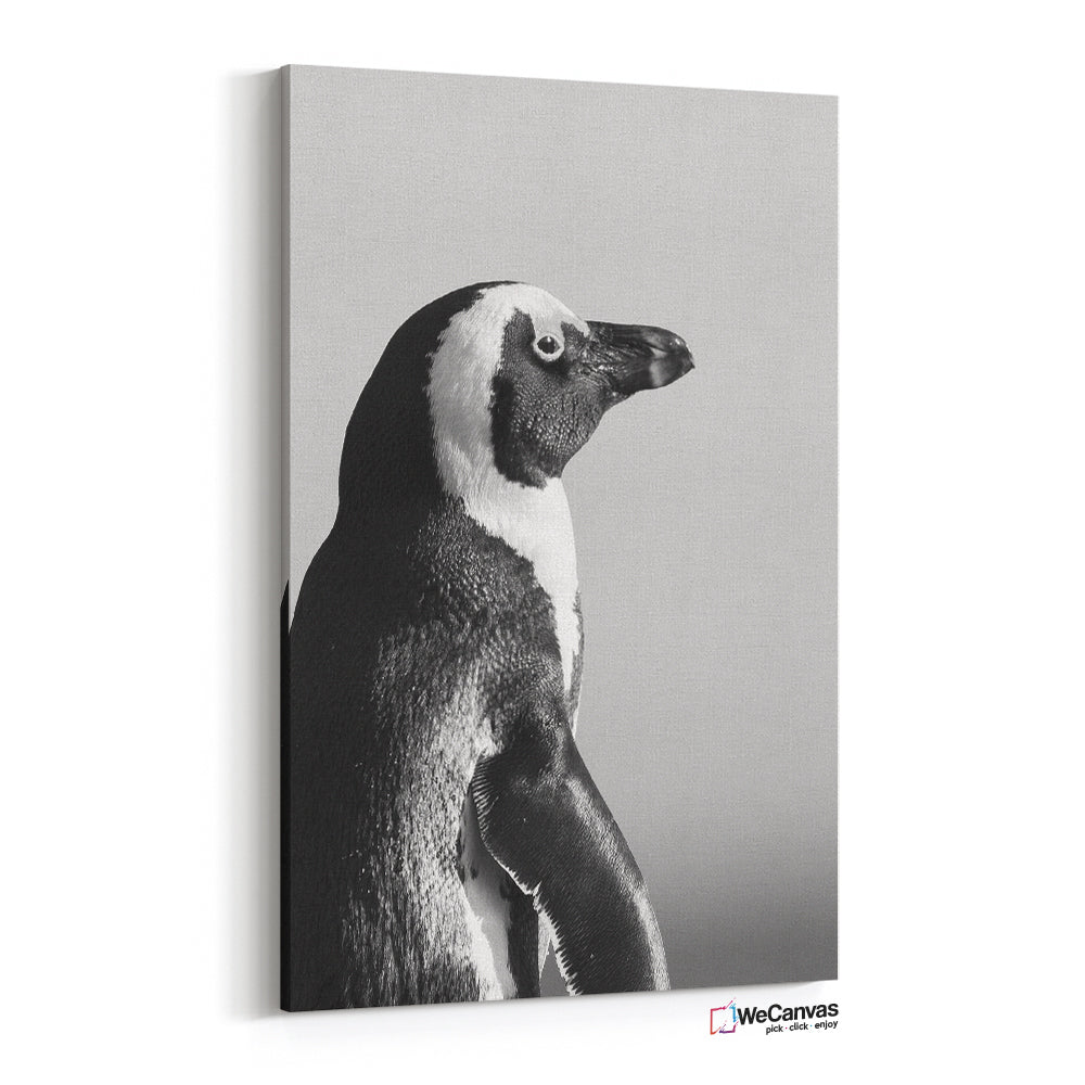 Pingüino