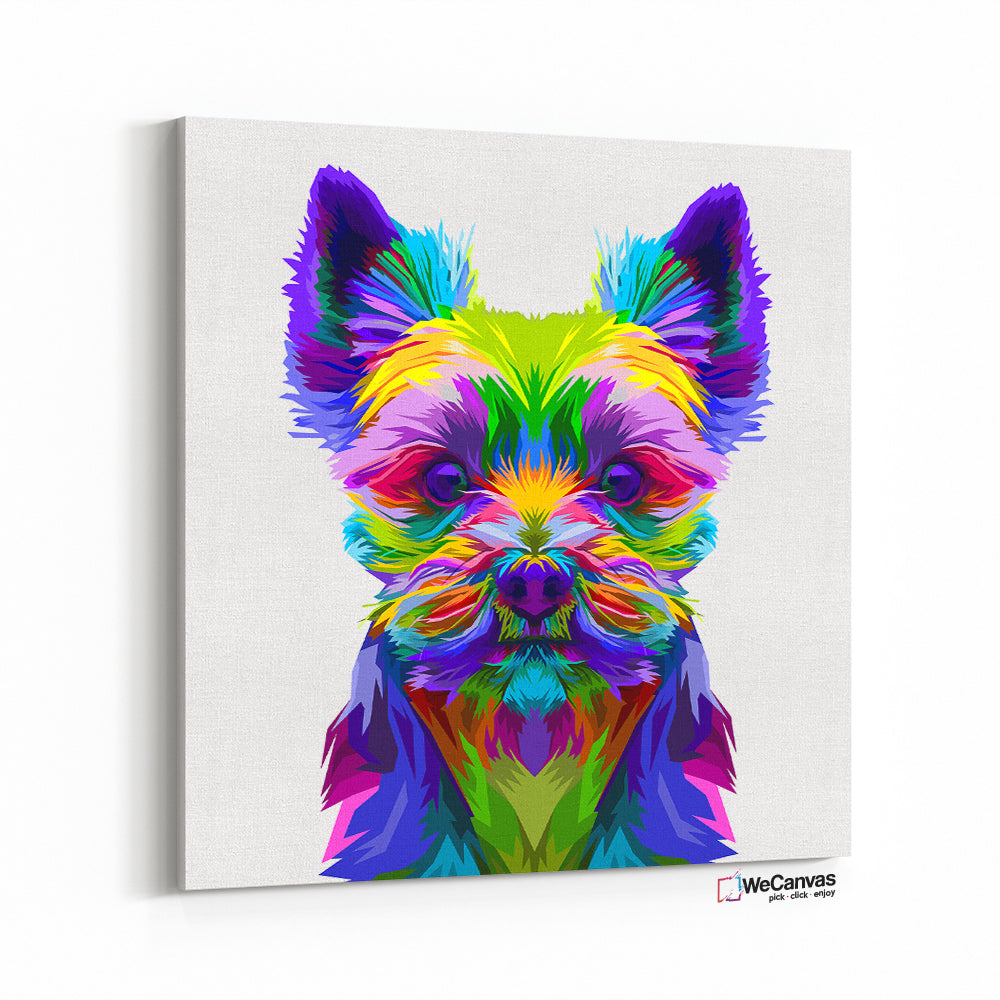 Perro yorkshire terrier colorido