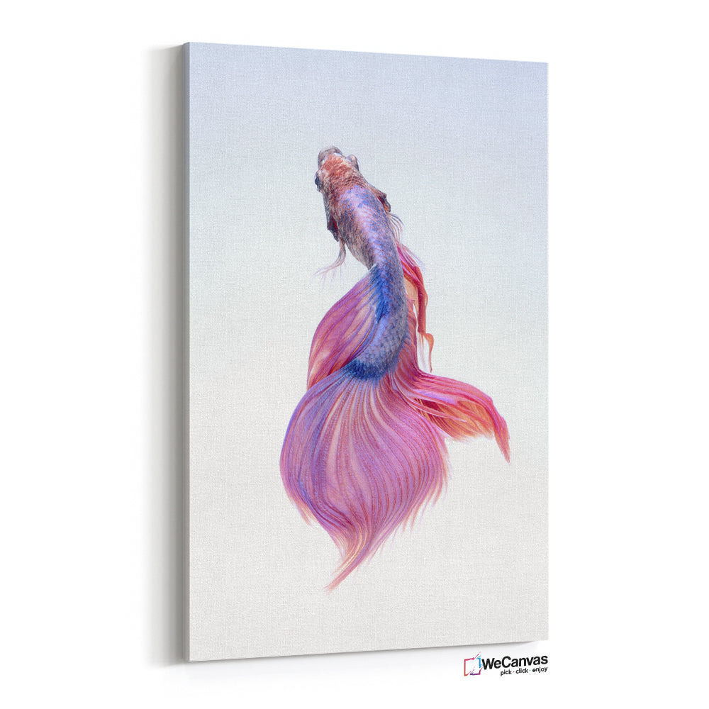 Pink Color Fish