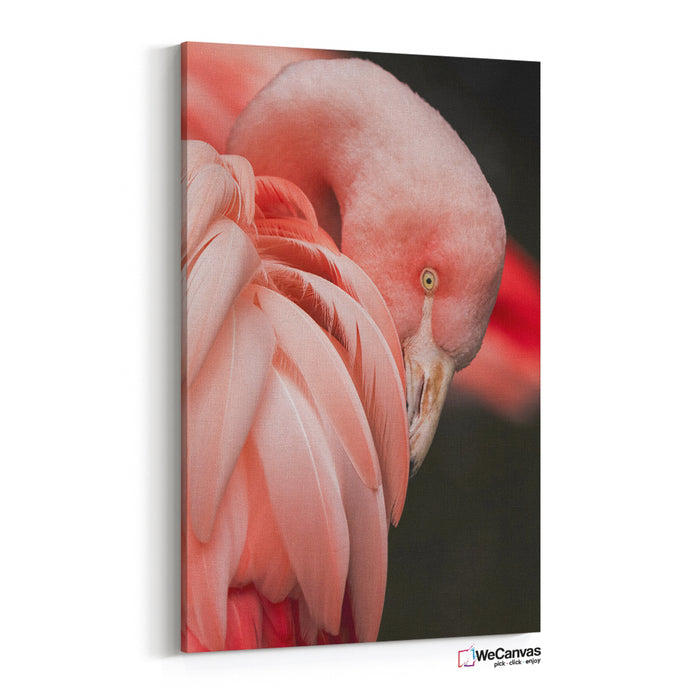 Pink Flamingo