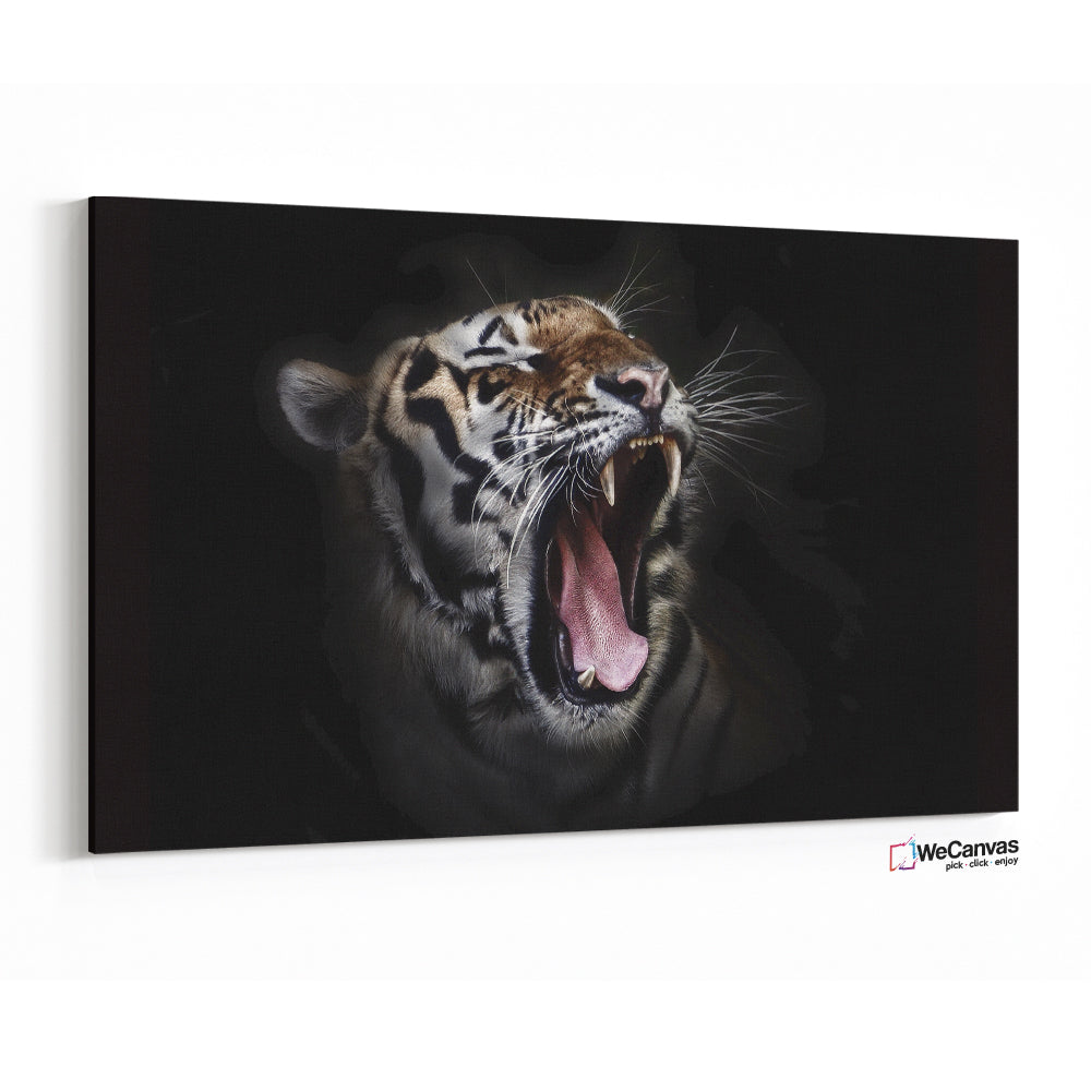 Roar of tiger