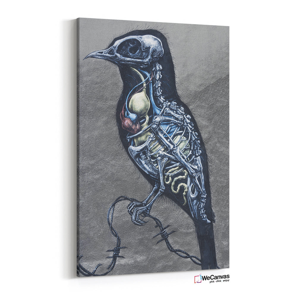 Xray bird