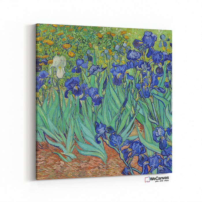 Rises (1889) by Vincent Van Gogh
